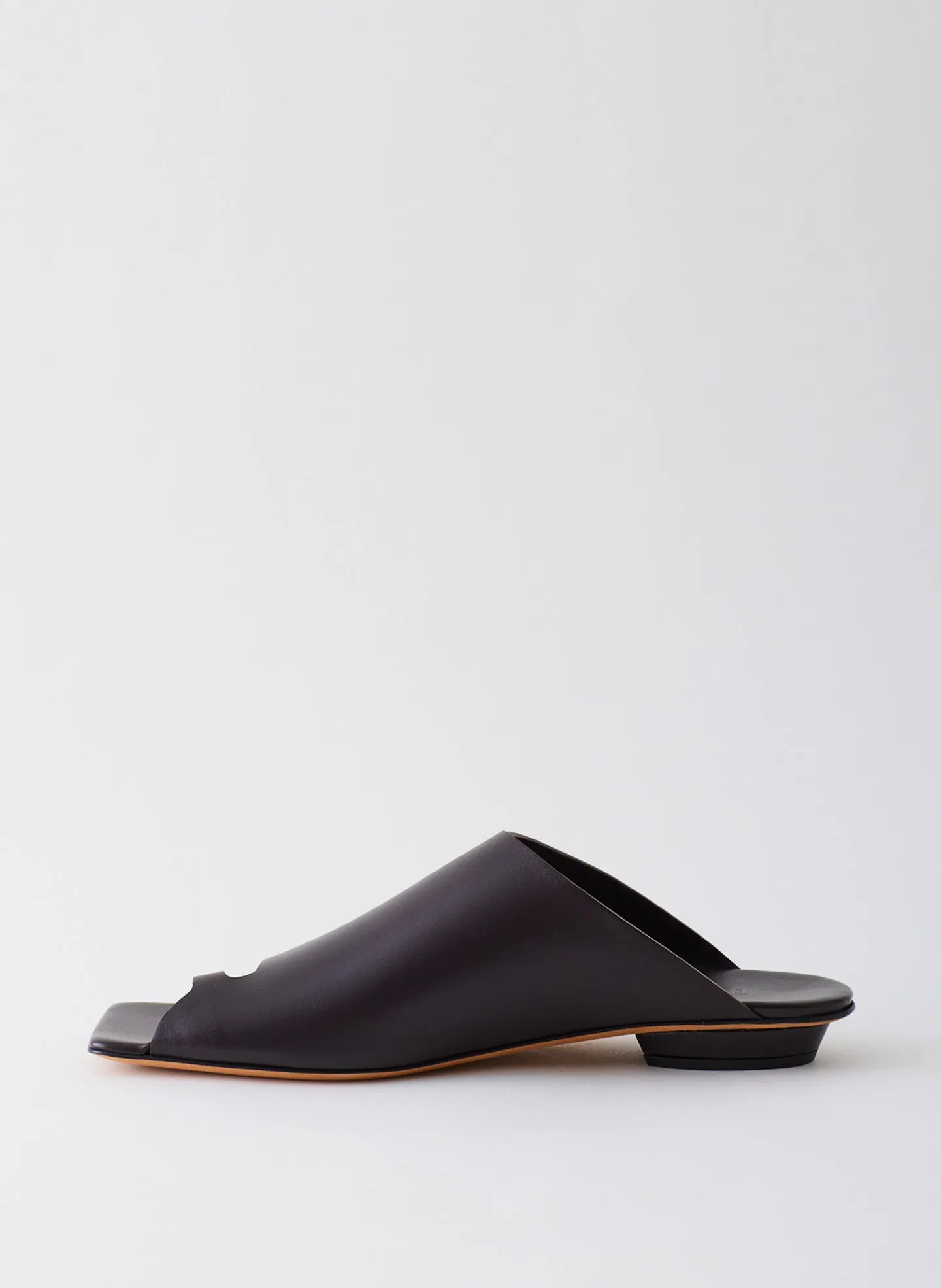 Gary Sandal