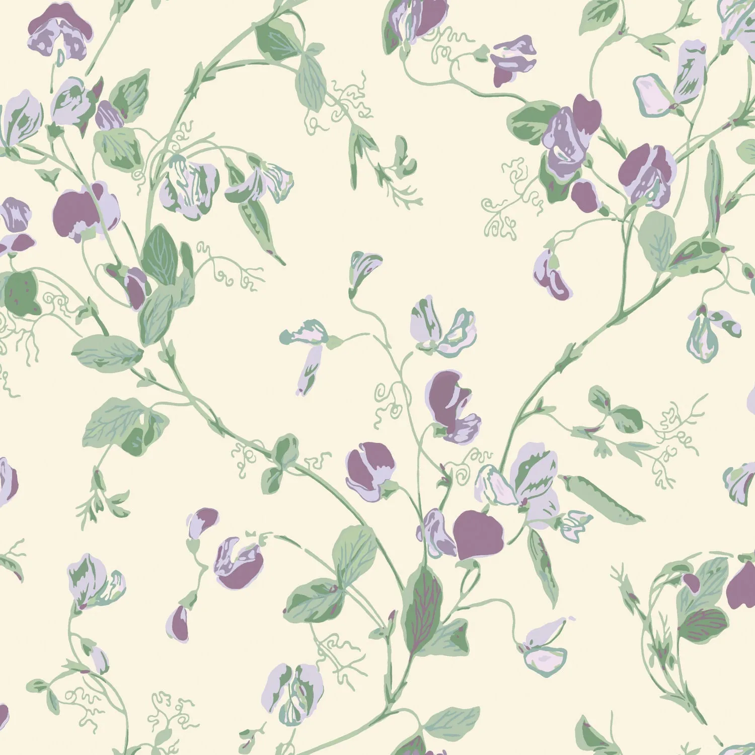 Sweet Pea