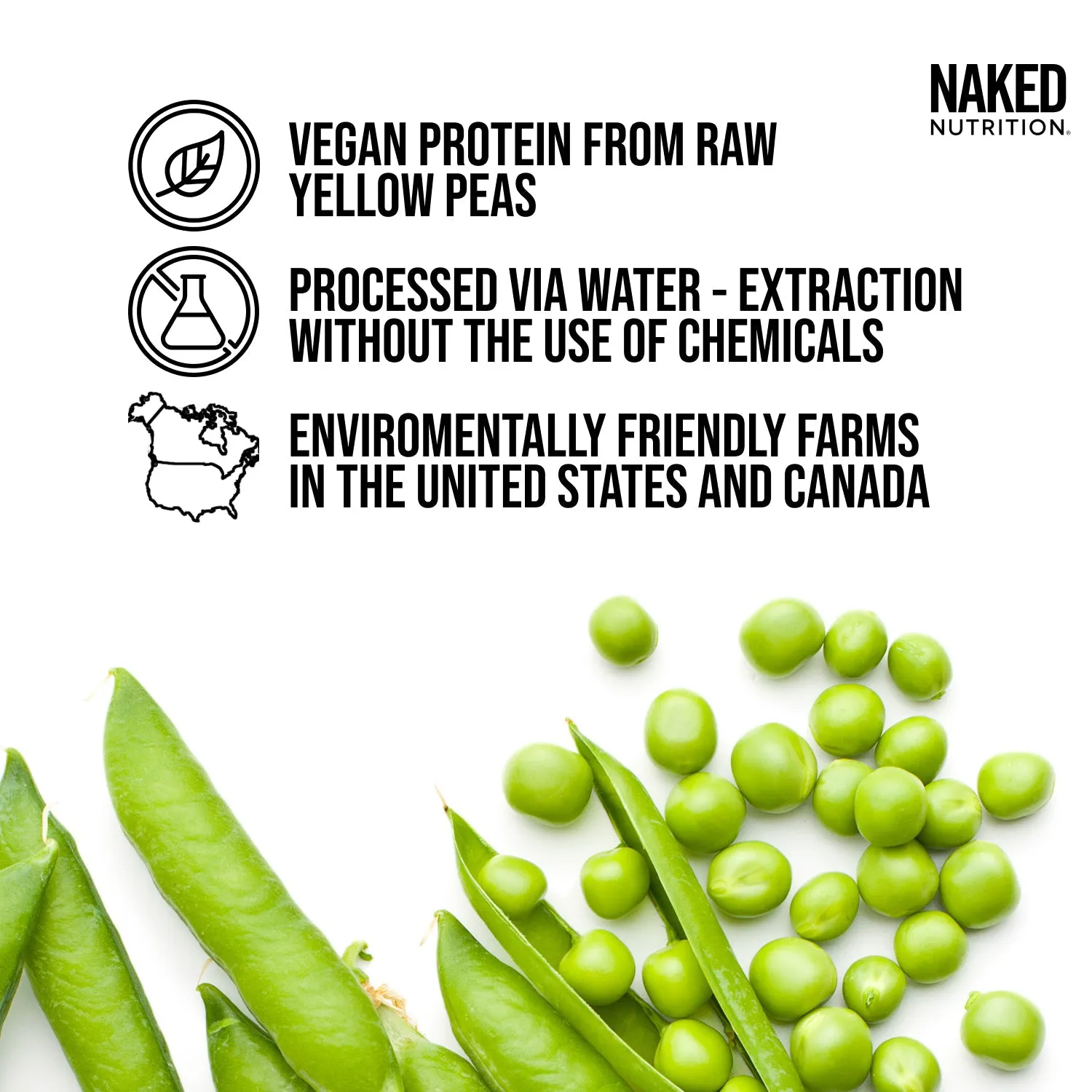 Vanilla Pea Protein Powder | Naked Vanilla Pea - 2LB